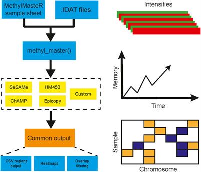 MethylMasteR: A Comparison and Customization of Methylation-Based Copy Number Variation Calling Software in Cancers Harboring Large Scale Chromosomal Deletions